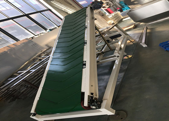 Transporte IP65 Palletizing