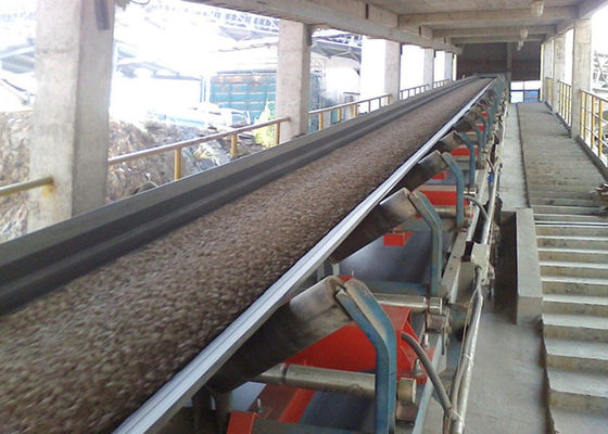 Pesador da correia transportadora de produto comestível 220VAC 600mm na indústria de sal