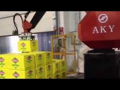 Carton palletizing robot